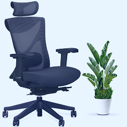 KaiChair | Ergonomic Office Desk Chair Canada